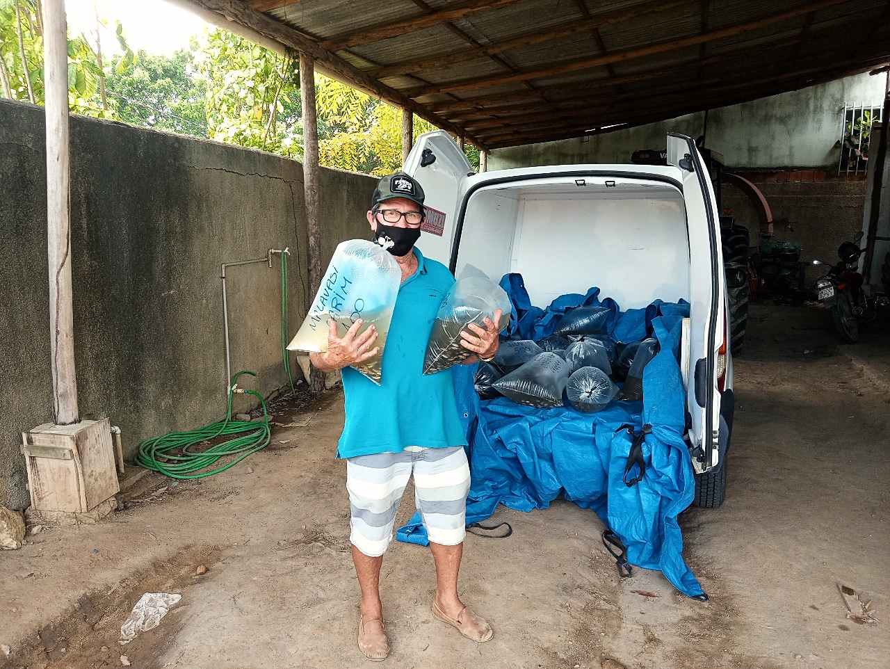 Os alevinos são repassados aos criadores a preço de custo. Foto: Secretaria Municipal de Agricultura